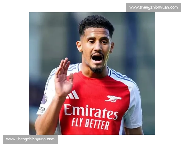 萨利巴伤缺一月：阿森纳防线迎严峻考验